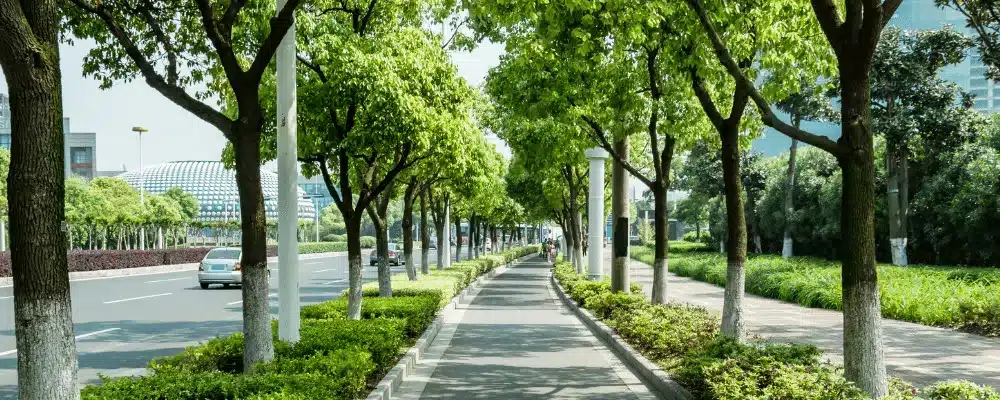 La mobilité verte en ville : comment planifier, gagner du temps et économiser ?