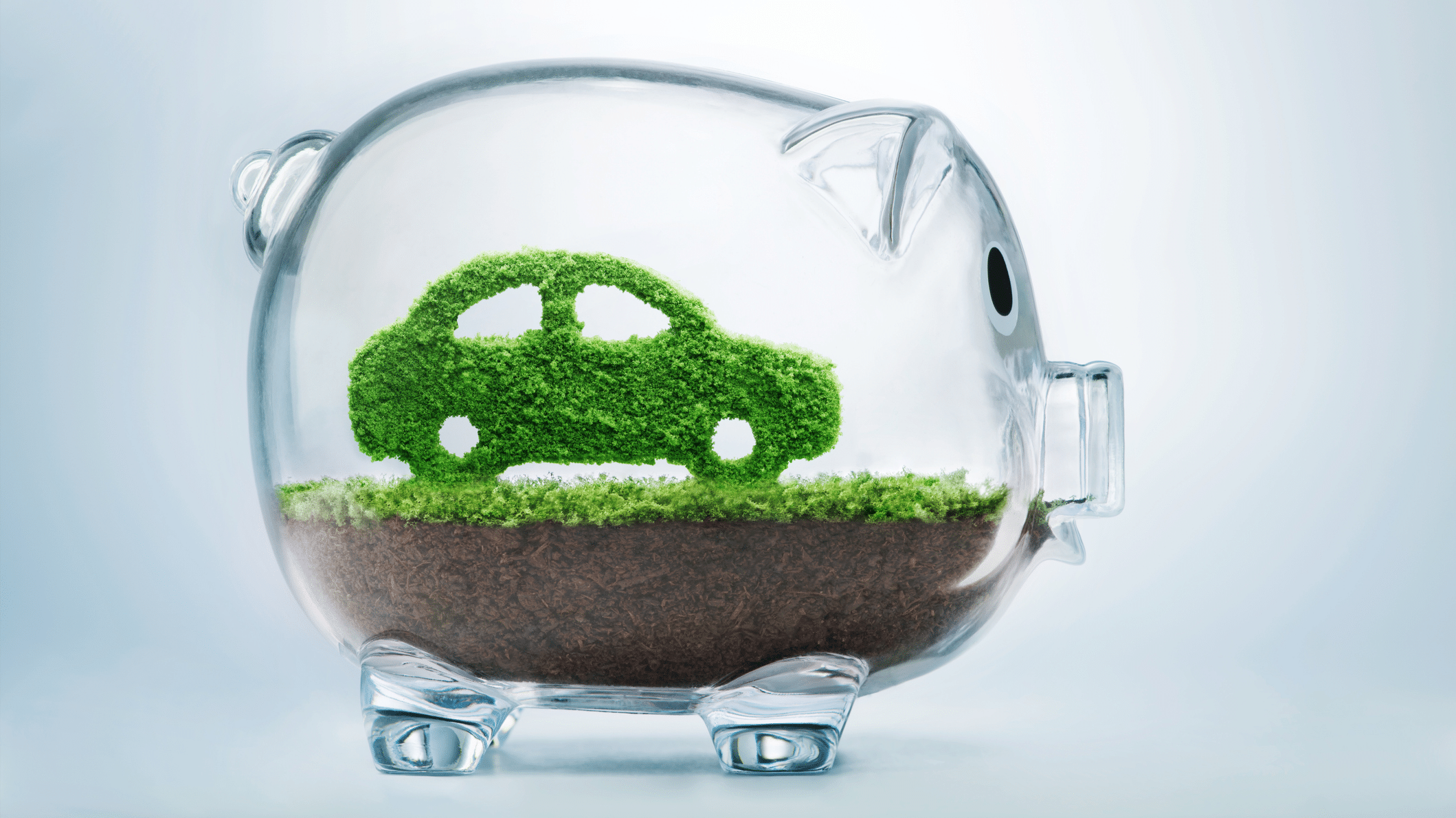 Bonus écologique : comment ça marche ?