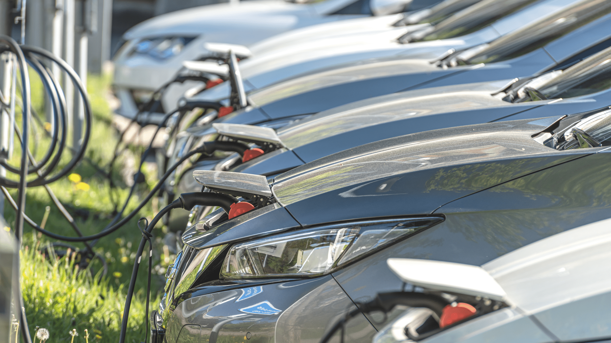Bilan de la voiture électrique en France pour 2024 : une année sous haute tension