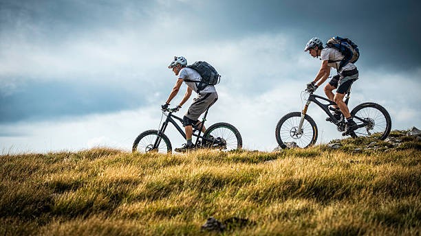 Mondraker Summum
