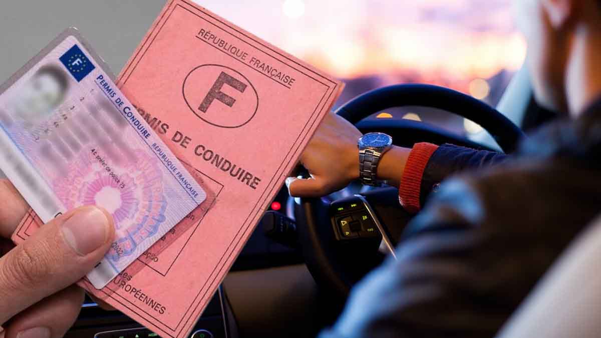 Le permis de conduire : tout ce que vous devez savoir