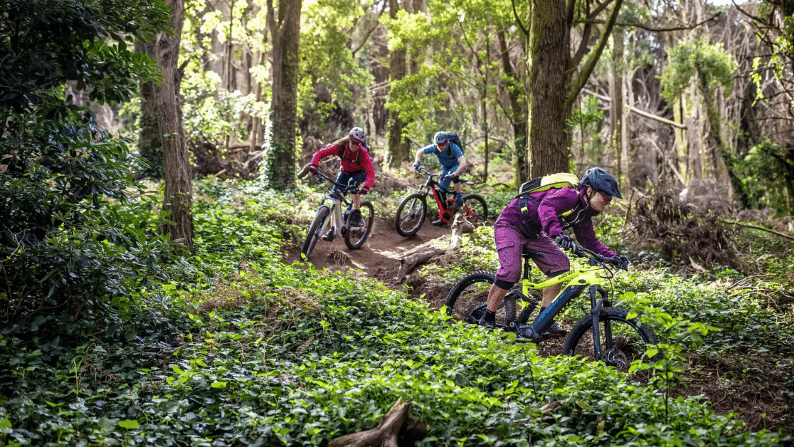 Haibike AllTrail 4