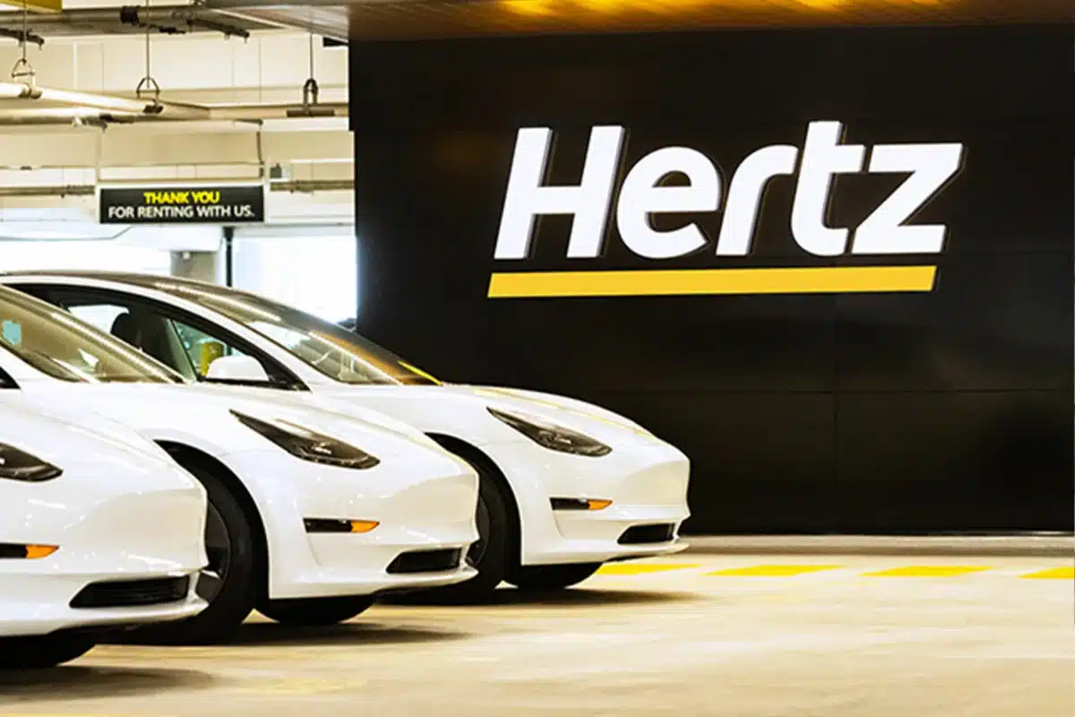 Les agences Hertz font succès