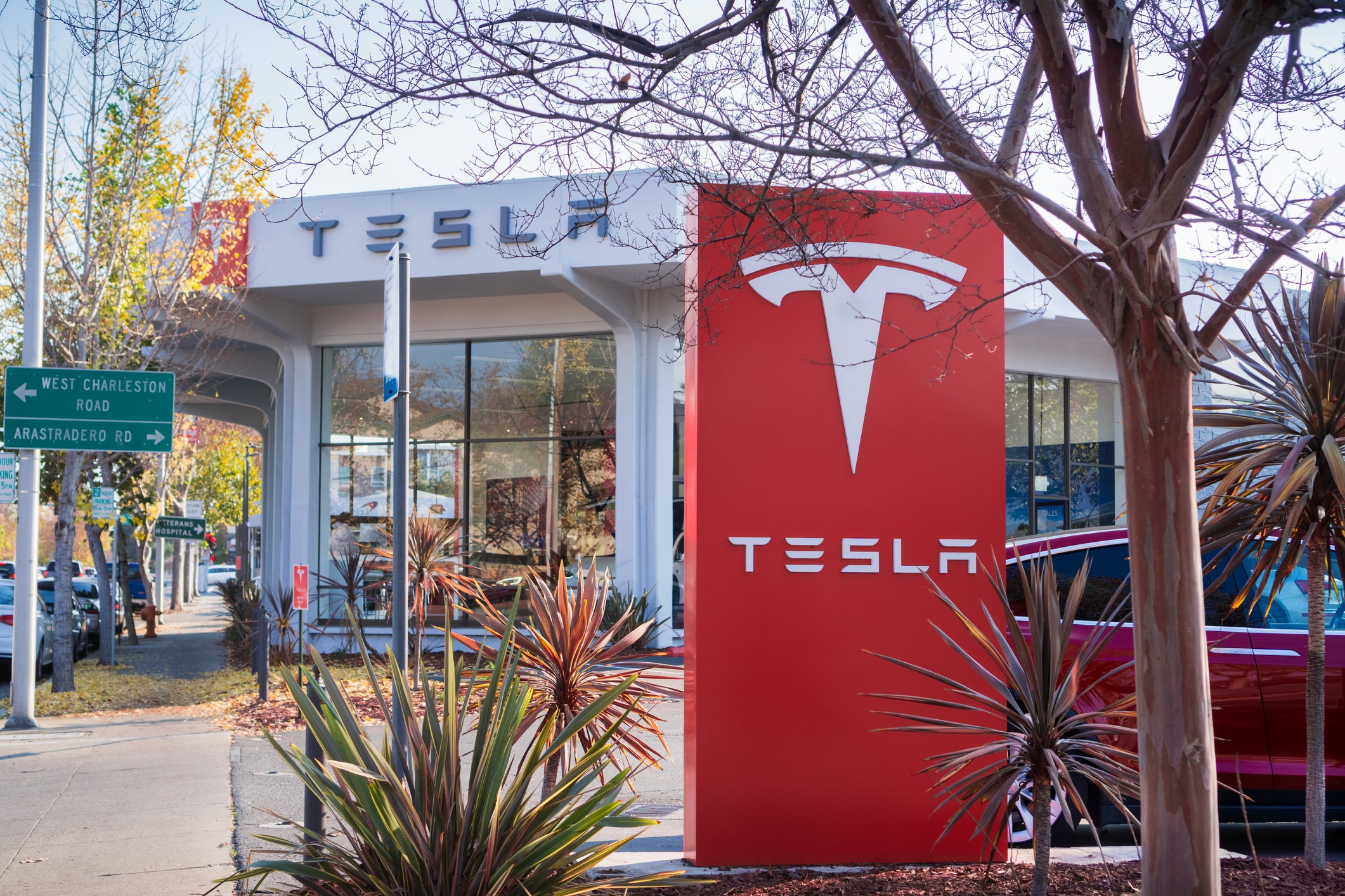 Tom Zhu : le successeur potentiel d'Elon Musk chez Tesla