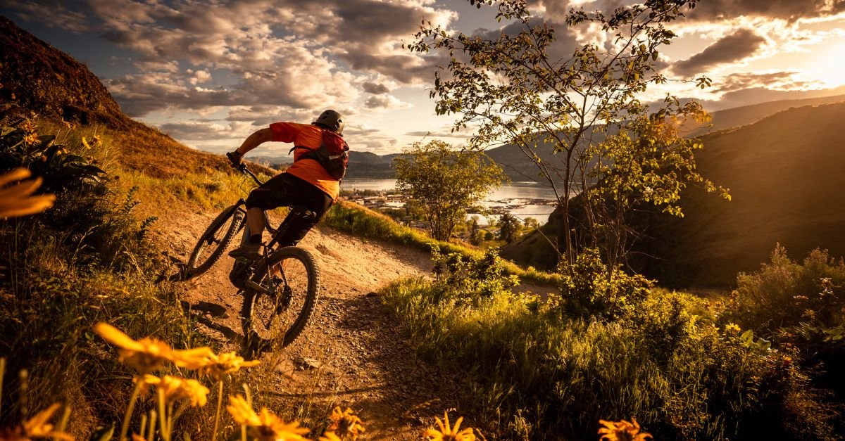 Top 5 des meilleurs VTT pour la montagne