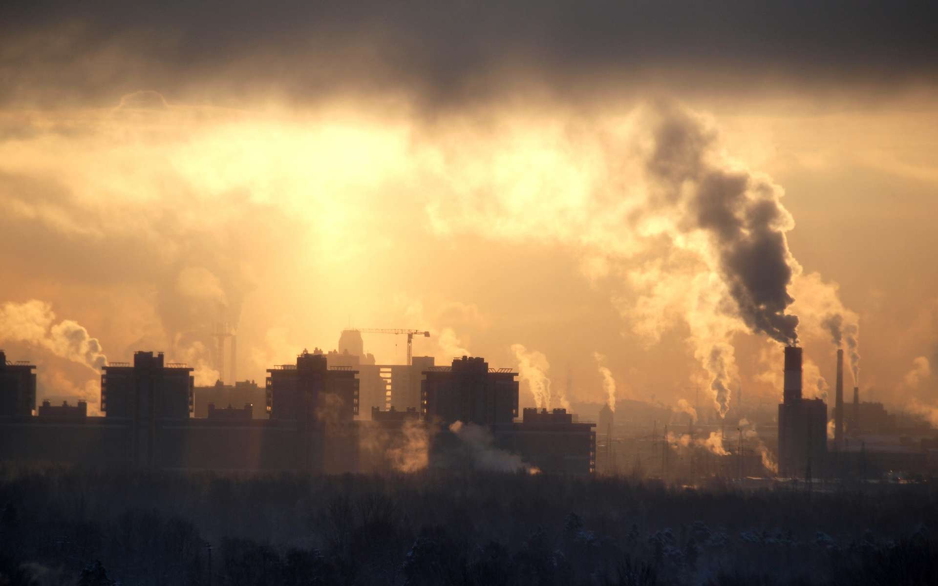 Pollution de l’air : un enjeu sanitaire mondial toujours sous-estimé
