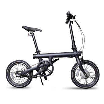 QiCYCLE EF1
