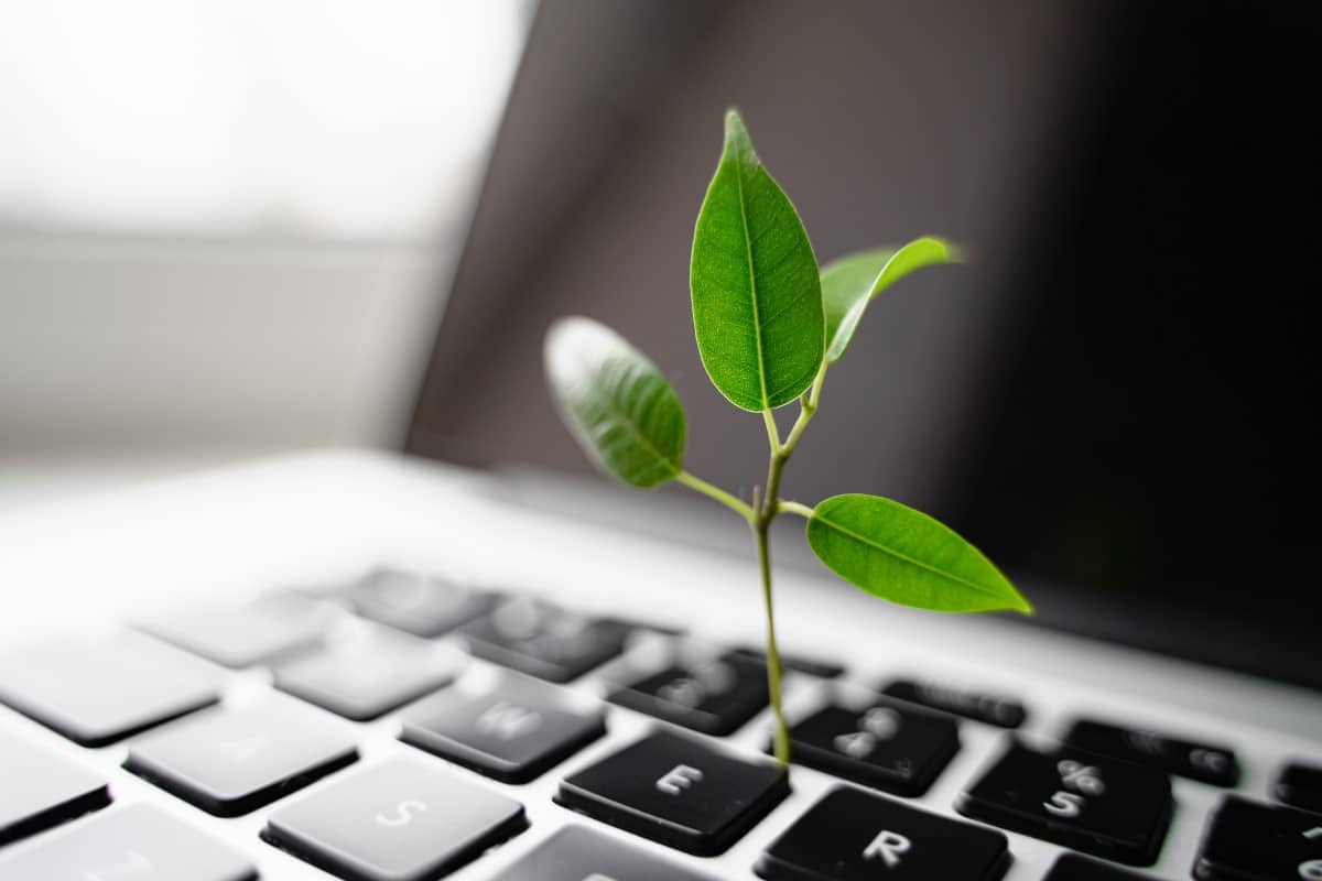 Réduire son empreinte carbone : astuces et guide pratique